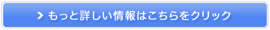 nCp[LPS500TvyƉur^~||TbJChz̔TCg
